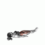 Fito App Alternate Lying Floor Leg Raise exercise demonstration with how-to guide and tips.