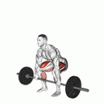 Fito App Barbell Deadlift exercise demonstration with how-to guide and tips.