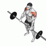 Fito App Barbell Front Raise exercise demonstration with how-to guide and tips.