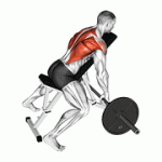 Fito App Barbell Incline Row exercise demonstration with how-to guide and tips.