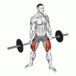 Fito App Barbell Jefferson Squat exercise demonstration with how-to guide and tips.