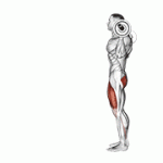 Fito App Barbell Lunge exercise demonstration with how-to guide and tips.