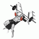 Fito App Barbell Lying Extension exercise demonstration with how-to guide and tips.
