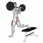 Fito App Barbell One Leg Squat exercise demonstration with how-to guide and tips.