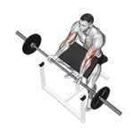 Fito App Barbell Preacher Curl exercise demonstration with how-to guide and tips.