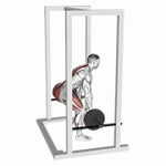 Fito App Barbell Rack Pull exercise demonstration with how-to guide and tips.