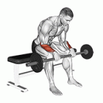 Fito App Barbell Revers Wrist Curl exercise demonstration with how-to guide and tips.