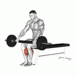 Fito App Barbell Seated Calf Raise exercise demonstration with how-to guide and tips.