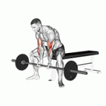 Fito App Barbell Seated Close Grip Concentration Curl exercise demonstration with how-to guide and tips.
