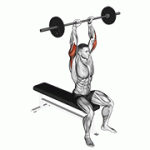 Fito App Barbell Seated Overhead Triceps Extension exercise demonstration with how-to guide and tips.
