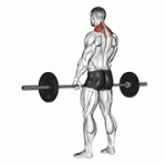 Fito App Barbell Shrug exercise demonstration with how-to guide and tips.