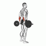 Fito App Barbell Standing Back Wrist Curl exercise demonstration with how-to guide and tips.