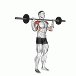 Fito App Barbell Standing Bradford Press exercise demonstration with how-to guide and tips.