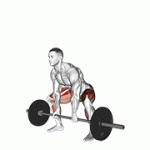 Fito App Barbell Sumo Deadlift exercise demonstration with how-to guide and tips.
