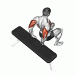 Fito App Bench Dip (knees Bent) exercise demonstration with how-to guide and tips.