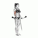 Fito App Cable Curl exercise demonstration with how-to guide and tips.