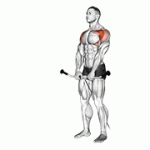 Fito App Cable Front Raise exercise demonstration with how-to guide and tips.