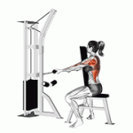 Fito App Cable Front Seated Row exercise demonstration with how-to guide and tips.