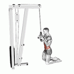 Fito App Cable Kneeling Crunch exercise demonstration with how-to guide and tips.