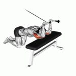 Fito App Cable Kneeling Triceps Extension exercise demonstration with how-to guide and tips.