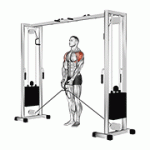 Fito App Cable Lateral Raise exercise demonstration with how-to guide and tips.