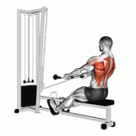 Fito App Cable Low Seated Row exercise demonstration with how-to guide and tips.