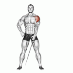 Fito App Cable One Arm Lateral Raise exercise demonstration with how-to guide and tips.