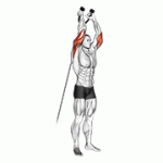 Fito App Cable Overhead Triceps Extension (rope Attachment) exercise demonstration with how-to guide and tips.