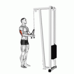 Fito App Cable Pushdown (with Rope Attachment) exercise demonstration with how-to guide and tips.