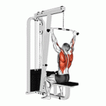 Fito App Cable Rear Pulldown exercise demonstration with how-to guide and tips.