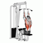 Fito App Cable Reverse Grip Straight Back Seated High Row exercise demonstration with how-to guide and tips.