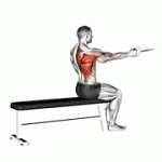 Fito App Cable Seated One Arm Alternate Row exercise demonstration with how-to guide and tips.