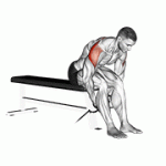 Fito App Cable Seated Rear Lateral Raise exercise demonstration with how-to guide and tips.