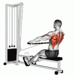 Fito App Cable Seated Wide Grip Row exercise demonstration with how-to guide and tips.