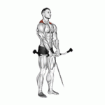 Fito App Cable Shrug exercise demonstration with how-to guide and tips.