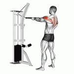 Fito App Cable Standing Rear Delt Row (with Rope) exercise demonstration with how-to guide and tips.