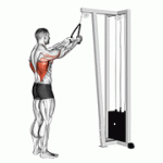 Fito App Cable Straight Arm Pulldown (with Rope) exercise demonstration with how-to guide and tips.