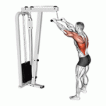 Fito App Cable Straight Arm Pulldown exercise demonstration with how-to guide and tips.