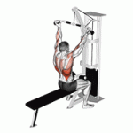 Fito App Cable Underhand Pulldown exercise demonstration with how-to guide and tips.
