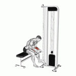 Fito App Cable Wrist Curl exercise demonstration with how-to guide and tips.