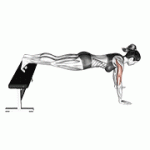 Fito App Decline Push up exercise demonstration with how-to guide and tips.