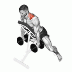 Fito App Dumbbell Decline Shrug exercise demonstration with how-to guide and tips.