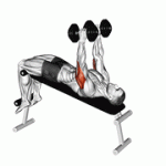 Fito App Dumbbell Decline Triceps Extension exercise demonstration with how-to guide and tips.