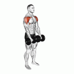 Fito App Dumbbell Front Raise exercise demonstration with how-to guide and tips.
