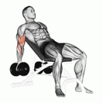Fito App Dumbbell Incline Biceps Curl exercise demonstration with how-to guide and tips.