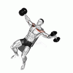Fito App Dumbbell Incline Breeding exercise demonstration with how-to guide and tips.