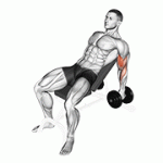 Fito App Dumbbell Incline Hammer Curl exercise demonstration with how-to guide and tips.
