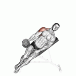 Fito App Dumbbell Incline One Arm Lateral Raise exercise demonstration with how-to guide and tips.