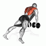 Fito App Dumbbell Incline Row exercise demonstration with how-to guide and tips.