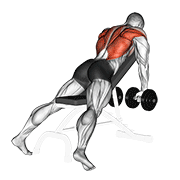 Dumbbell Incline Row gym sessions: How-to, Guide and Tips